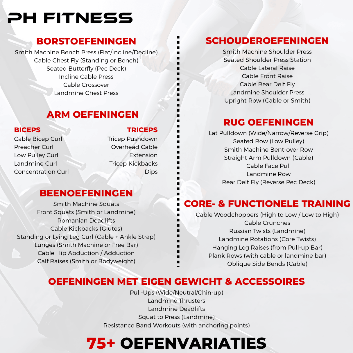 All - in - One Home Gym – 160KG Gewichtstapel – Smith Machine + Kabelsysteem – Full Body Krachtstation - PH Fitness